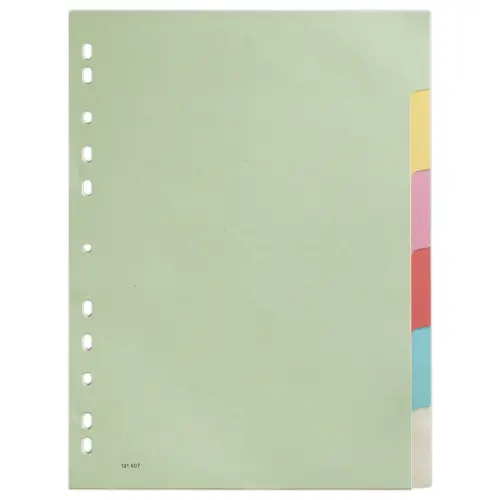 Tabbladen - A4 - 6 tabs - Karton 2/10