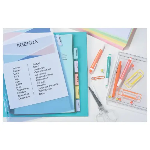 Tabbladen - A4 in polypropyleen -  6 personaliseerbare tabs 