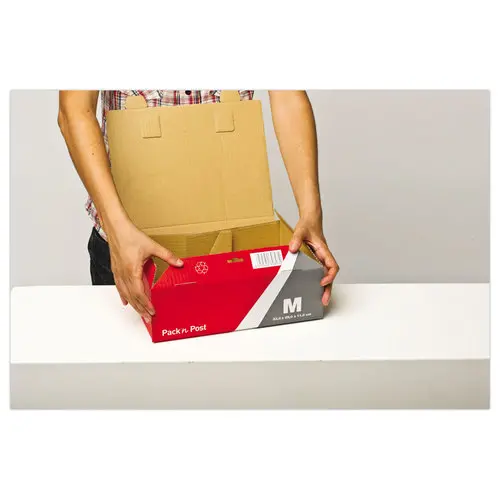 Doos voor postverzendingen - L32,5 x B24 x H10,5cm 