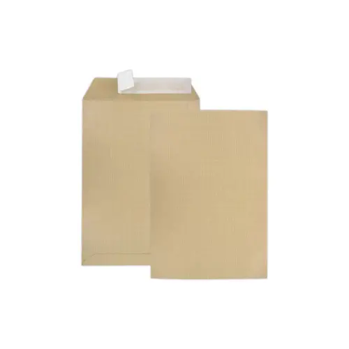 250 Hoogwaardige enveloppen van kraft - 229 x 324 mm - 120 g - GPV EVERYDAY