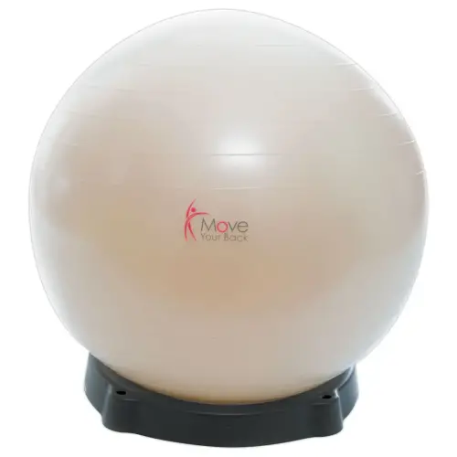 Fitball bal met een diameter van 55 cm en zijn basis