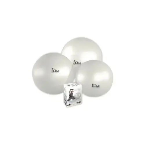 Fitball bal 65cm in diameter met zijn voetstuk
