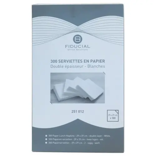 300  Witte papieren servetten, twee lagen, 29 x 29 cm 
