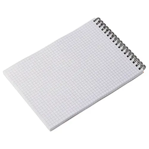 Notitieblok met spiraalbinding A4 - 5x5 - 80g - RHODIA
