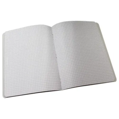 Geniet schrift - 17 x 22 cm - Geruit 5x5 - 96 pagina's - ACCESS