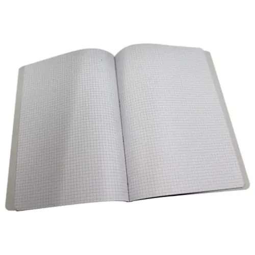 Geniet schrift - A4 - geruit 5 x 5 - 96 pagina's - ACCESS