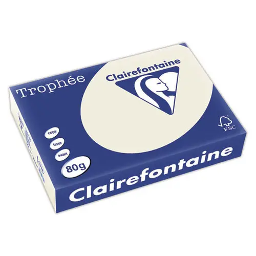 Pak A4 papier 80g Trophée CLAIREFONTAINE - parelgrijs