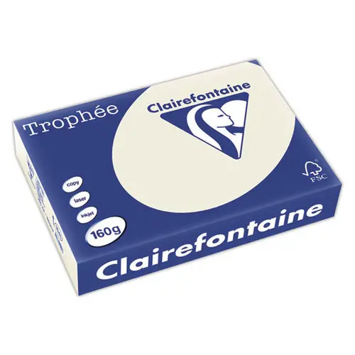 Riem van 250 vellen A4 papier - grijs - Clairefontaine 