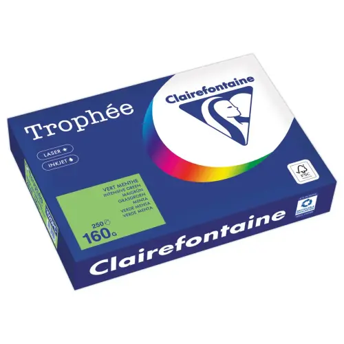 Pak van 250 vellen felgekleurd A4 Trophée 160 g papier - Mintgroen - CLAIREFONTAINE