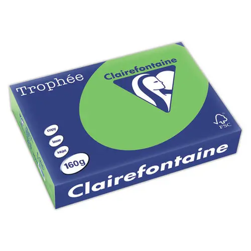 Pak van 250 vellen felgekleurd A4 Trophée 160 g papier - Mintgroen - CLAIREFONTAINE