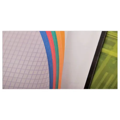 Spiraalschrift CLAREFONTAINE Bind'O Block - A4+ - 5x5 - 160 pagina's