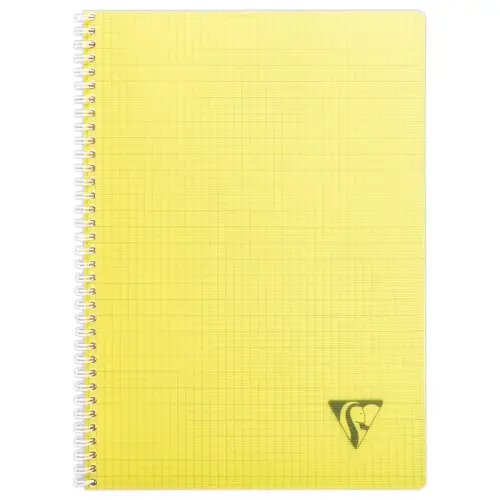 Spiraalschrift Linicolor A4 - 5x5 - 90g - 100 pagina's