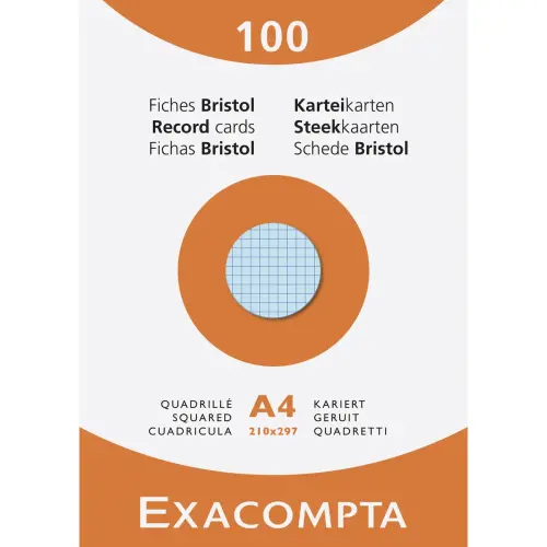100 Assortiment gekleurde bristol-steekkaarten 21 x 29,7 cm - 5X5 - 210g
