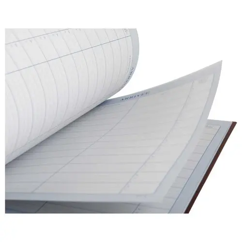 Maandplanner betalingen LE DAUPHIN - 12 tabs op maand - 96 pagina's
