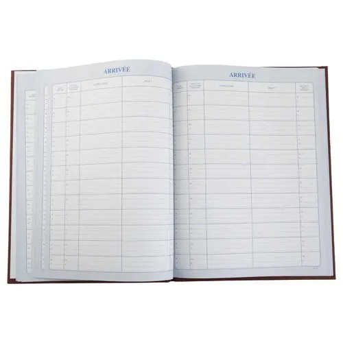 Maandplanner betalingen LE DAUPHIN - 12 tabs op maand - 96 pagina's