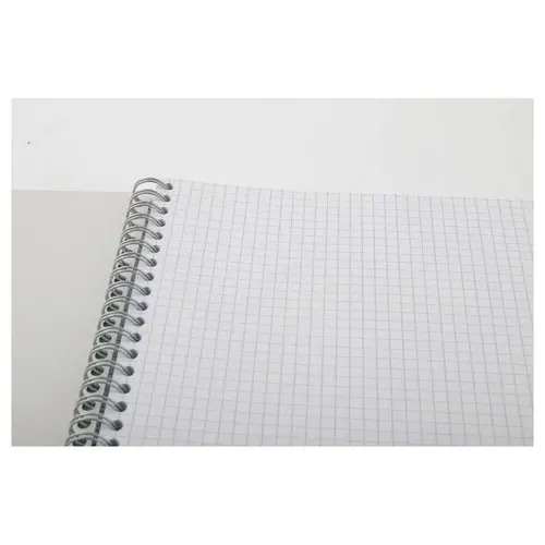 Spiraalschrift CONQUERANT A4 - 180 pagina's