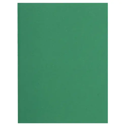 Pak van 100 FLASH 220 mappen 100% gerecycled - 24 x 32 cm - Groen - Exacompta 