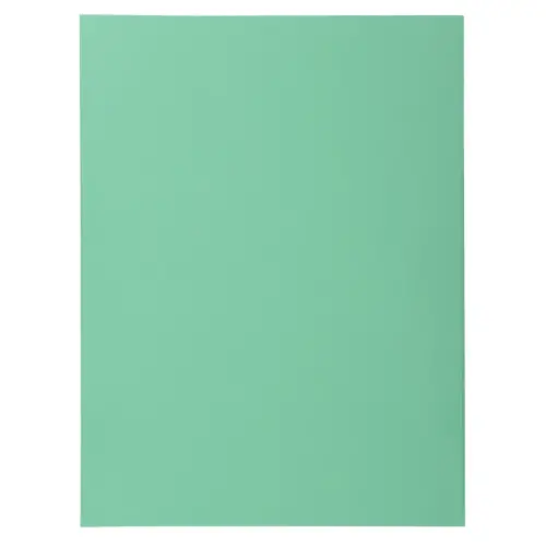 Pak 100 SUPER 210 mappen - 24 x 32 cm - Felgroen - Exacompta 