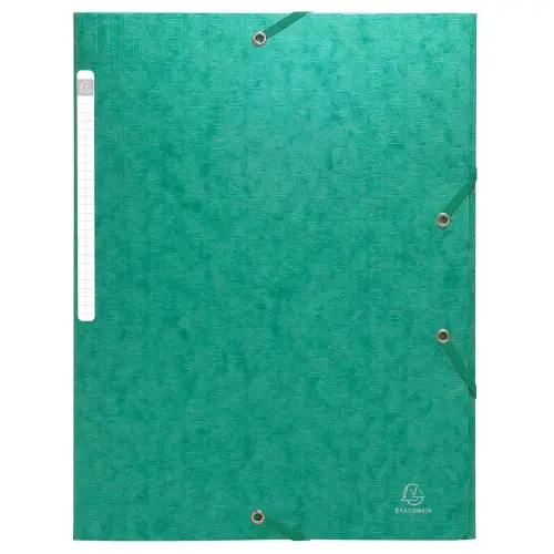 Elastische overhemden met glanzende kaart, 3-laps monobloc - Groen - Exacompta 