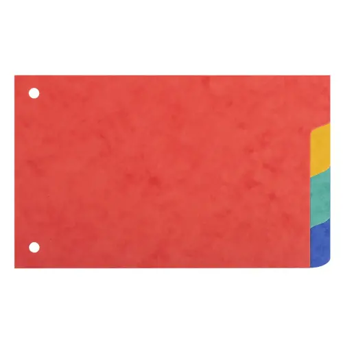 Tabbladen voor glanzende Bristol-kaarten 225 g/m2 4 posities - 100 x 150 mm - Exacompta 