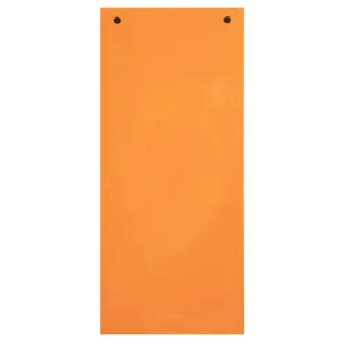 Pakket van 100 effen horizontale tabbladen, geperforeerd - 105 x 240 mm - Oranje - Exacompta 