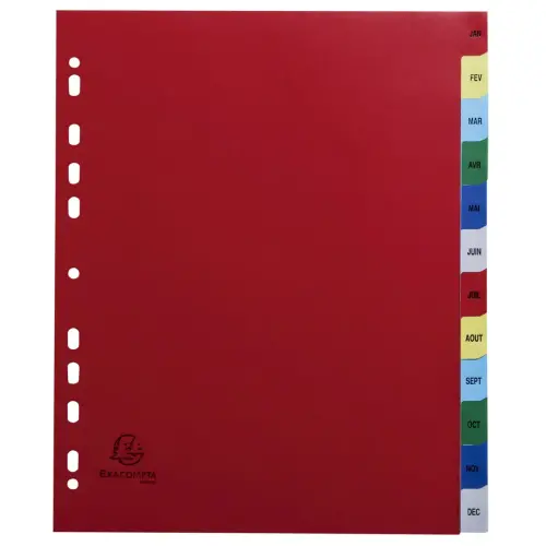 Gekleurde maandelijkse bedrukte tussenschotten PP 12/100e - 12 posities - A4+ - Levendige assorti kleuren - Exacompta