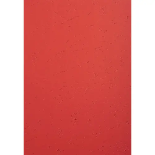 PK 100VL FOREVER ROOD A4 270G 