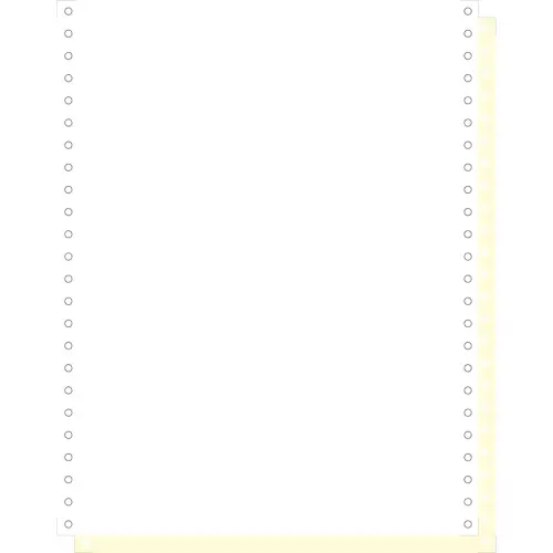 List.240x12" 2ex.wit-70gr-aFSC®h/1000