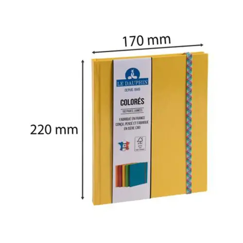 REG IDERAMA 220x170 192P GELE LIJN FSC®