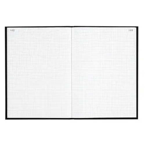 Gekartonneerd raster 5 x 5 mm genummerd - 34 x 22,5 cm - 400 pagina's - Exacompta