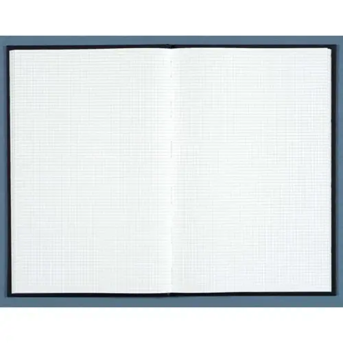 Gekaderd schrift 5 x 5 mm niet genummerd - A4 - 496 pagina's - Exacompta 
