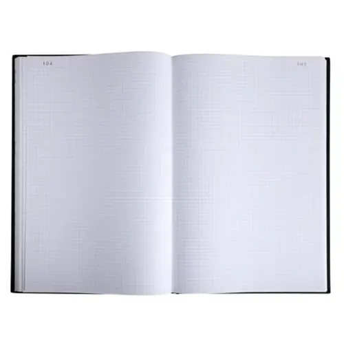 Gekaderd schrift 5 x 5 mm genummerd - 34 x 22,5 cm - 300 pagina's - Exacompta
