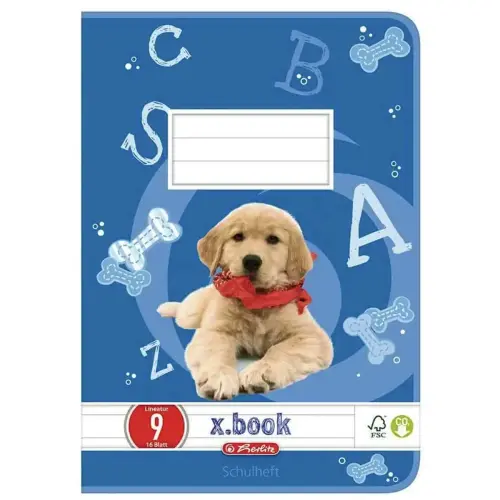 Cahier x.book - A5 - lijntjes 8v / rechthoeken - Herlitz 