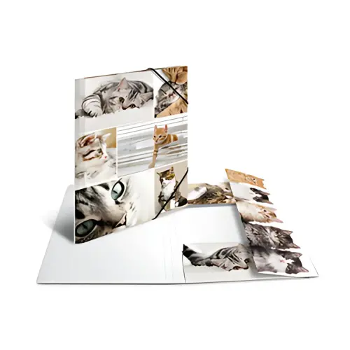 HERMA Map met elastieken 'delphine', van karton,