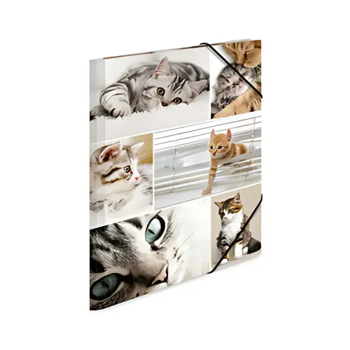 HERMA Map met elastieken 'delphine', van karton,