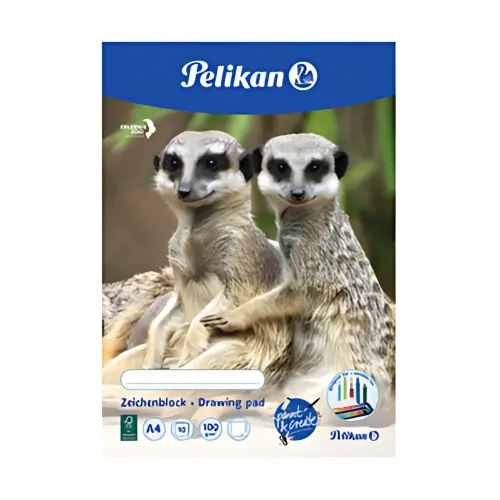 Tekenschrift C 3/10 - A3 - 100 g/m² - 10 vellen - Pelikan