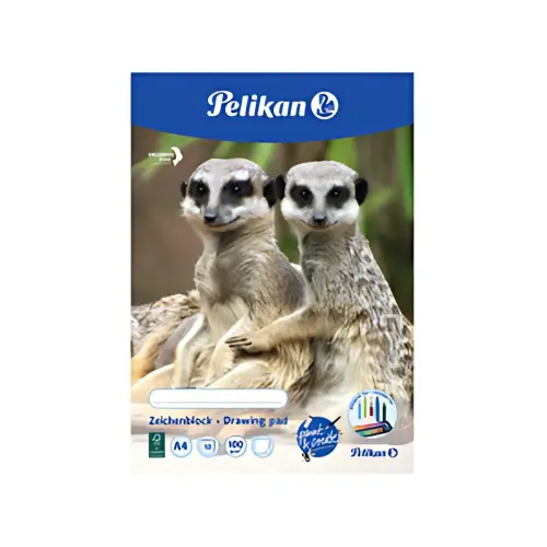 Pelikan Tekenschrift C 4/20, A4, 100 g/m2, 20 vellen