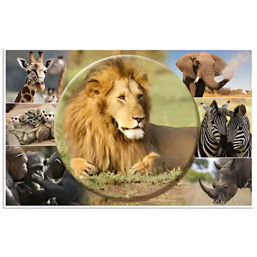 HERMA Onderlegger 'Afrikaanse dieren', (L)550 x (H)350 mm