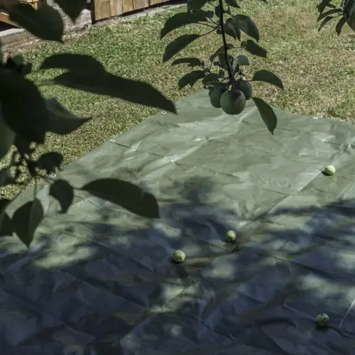 Zeildoek met ogen, 3 x 4 m, 150 g, groen - Agriplus 