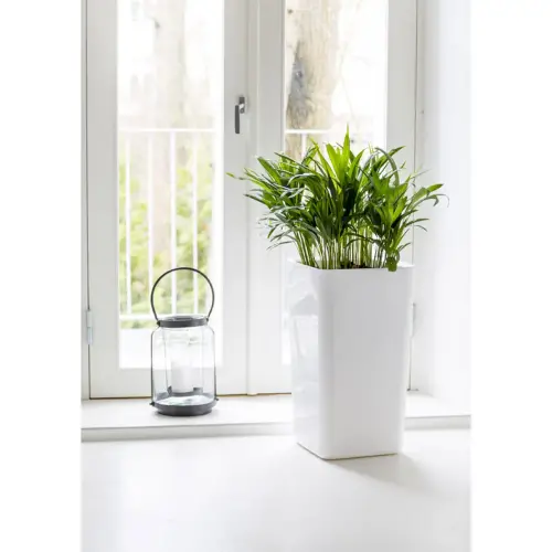 Cache-pot EDEN, breedte: 160 mm, wit - Orthex