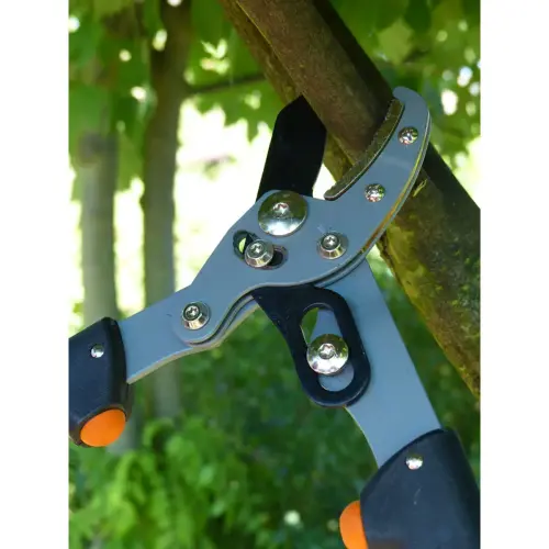 Takkenscharen voor dames, lengte: 470 mm - Garten Primus 