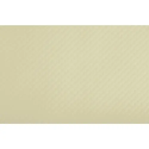 Wegwerp placemat, 400 x 300 mm, kiwi groen - Pronappe