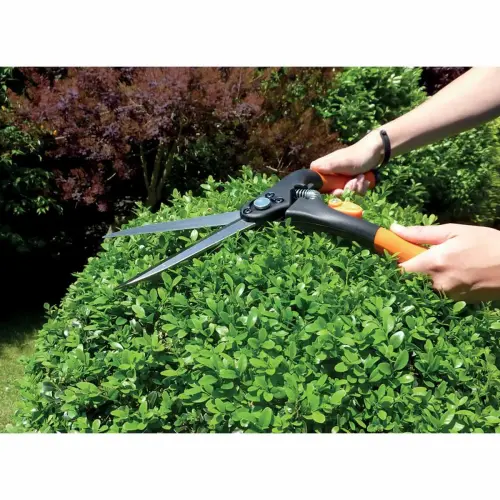 Buxusschaar, groot, lengte: 435 mm - Garten Primus 