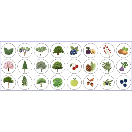 Rol stickers Bomen 360 stuks - Apli