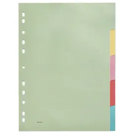 Tabbladen -2,5/10e A4-formaat - 5 tabs 