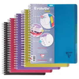 Spiraalschrift Evolutiv A4+ 240p - 5x5+ 3 tabbladen 