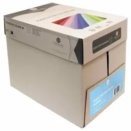 Pak van 500 vellen papier  A4 80 g EXECUTIVE CLR  - intense kleuren 