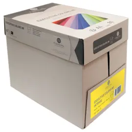 Pak van 500 vellen papier  A4 80 g EXECUTIVE CLR  - intense kleuren 
