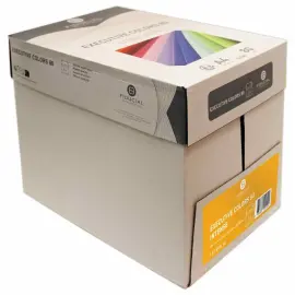 Pak van 500 vellen papier  A4 80 g EXECUTIVE CLR  - intense kleuren 