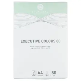 Pak van 500 vellen papier  A4 80 g EXECUTIVE CLR  - intense kleuren 
